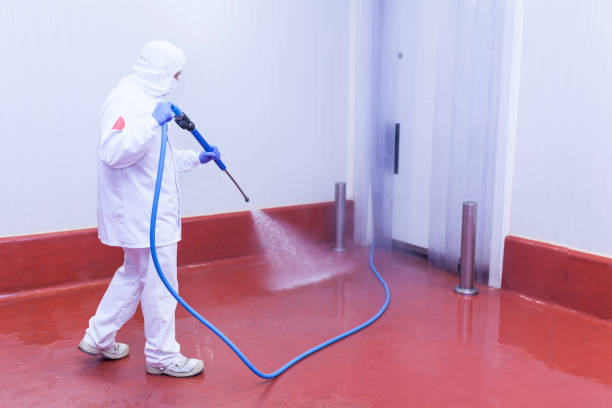 North Bend, WA Pressure Washing Services Company